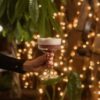 Festive Drinks
